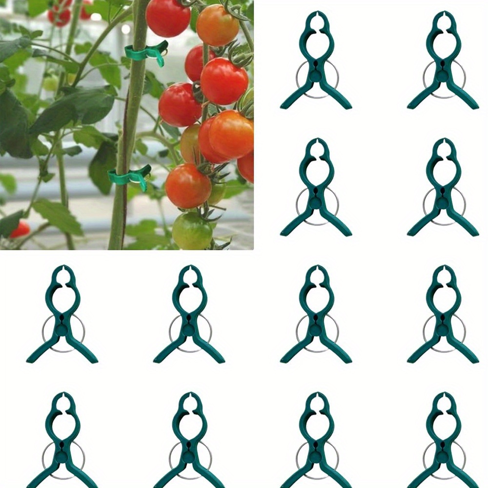 

50-pack Garden Support Clips For Climbing Plants - Durable Pp Material, Ideal For Tomatoes & Grape Vines