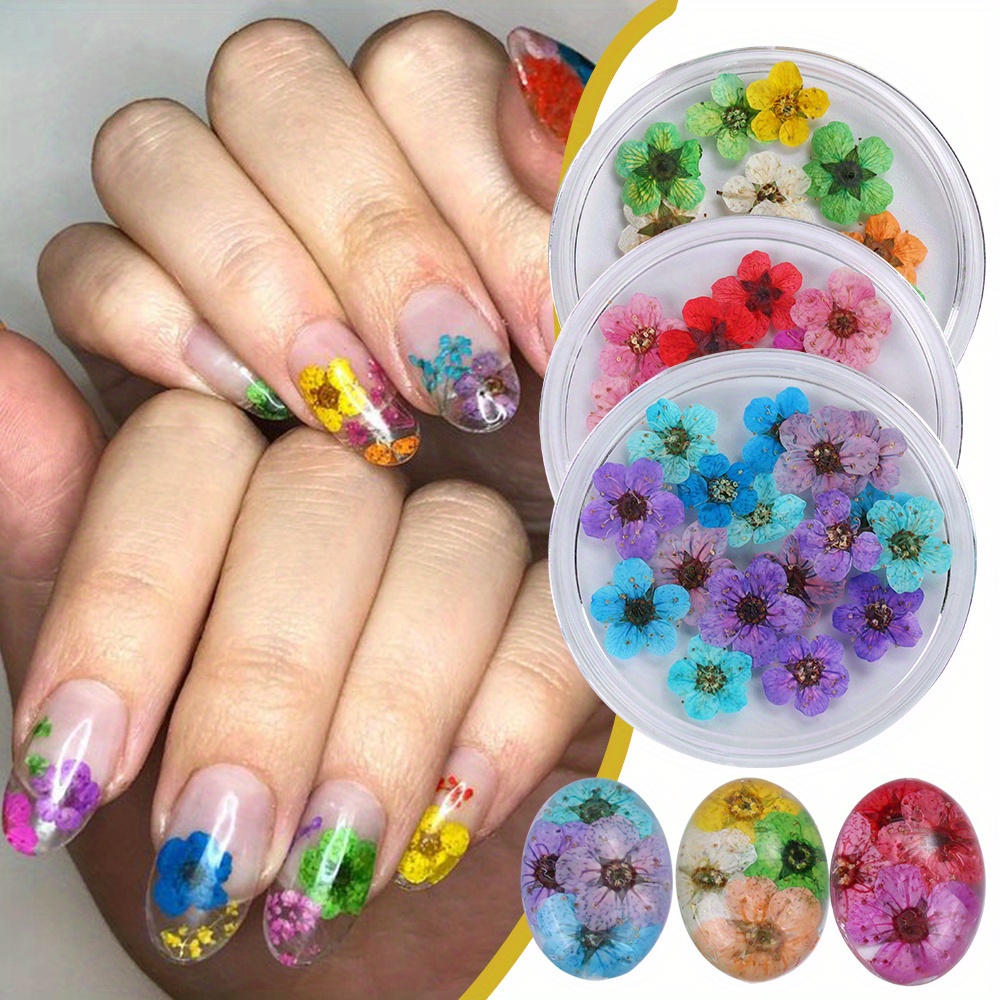 

Summer Natural Dried Flower Nail Art Decorations, Narcissus Design, Alcohol-free, Armor Effect