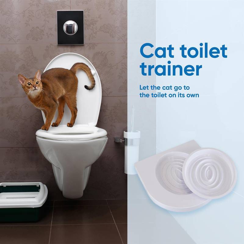 Can You Train Cats to Use the Toilet: Ultimate Guide & Tips