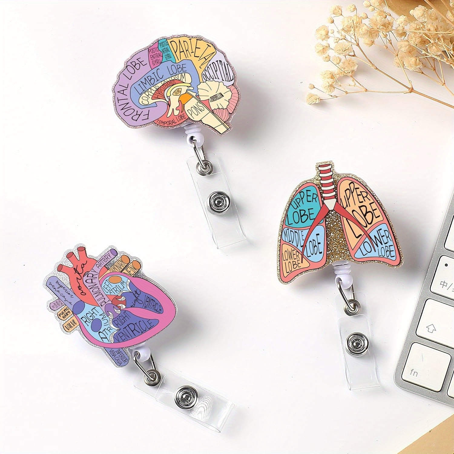 

3-piece Retractable Nurse Badge Reels With Heart, Brain & Lung Designs - Durable Acrylic Id Holders For Nurses And Doctors, Perfect Graduation Gift