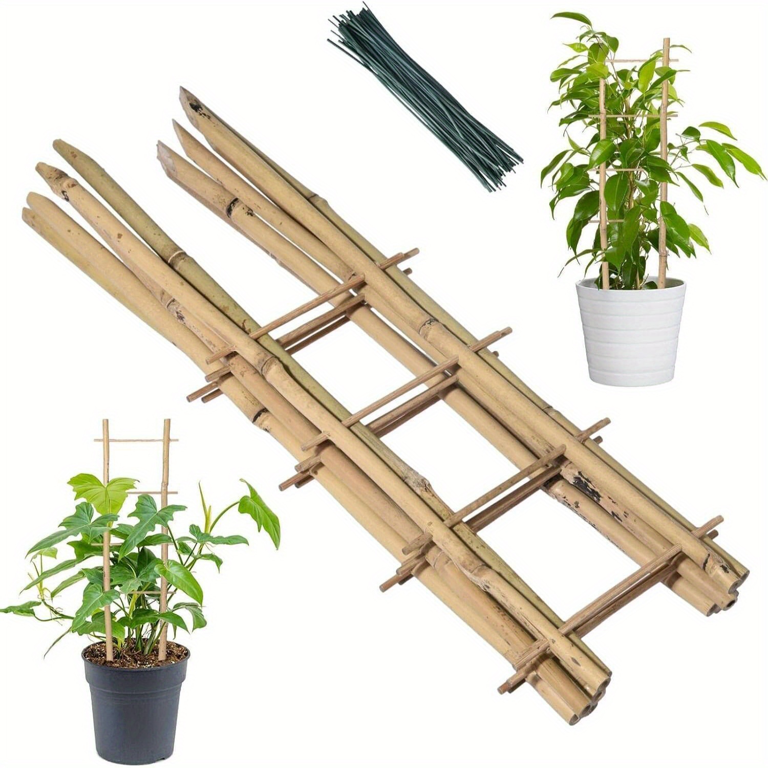 

6pcs Mini Bamboo Trellis Fan-shaped Plant Support With Twist Ties For Indoor Climbing & Potted House Plants - Natural Wood Material