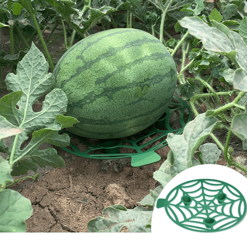 

innovative" 10-piece Green Pp Fruit Support Racks - Protect Pumpkins, Watermelons & More From Ground Rot