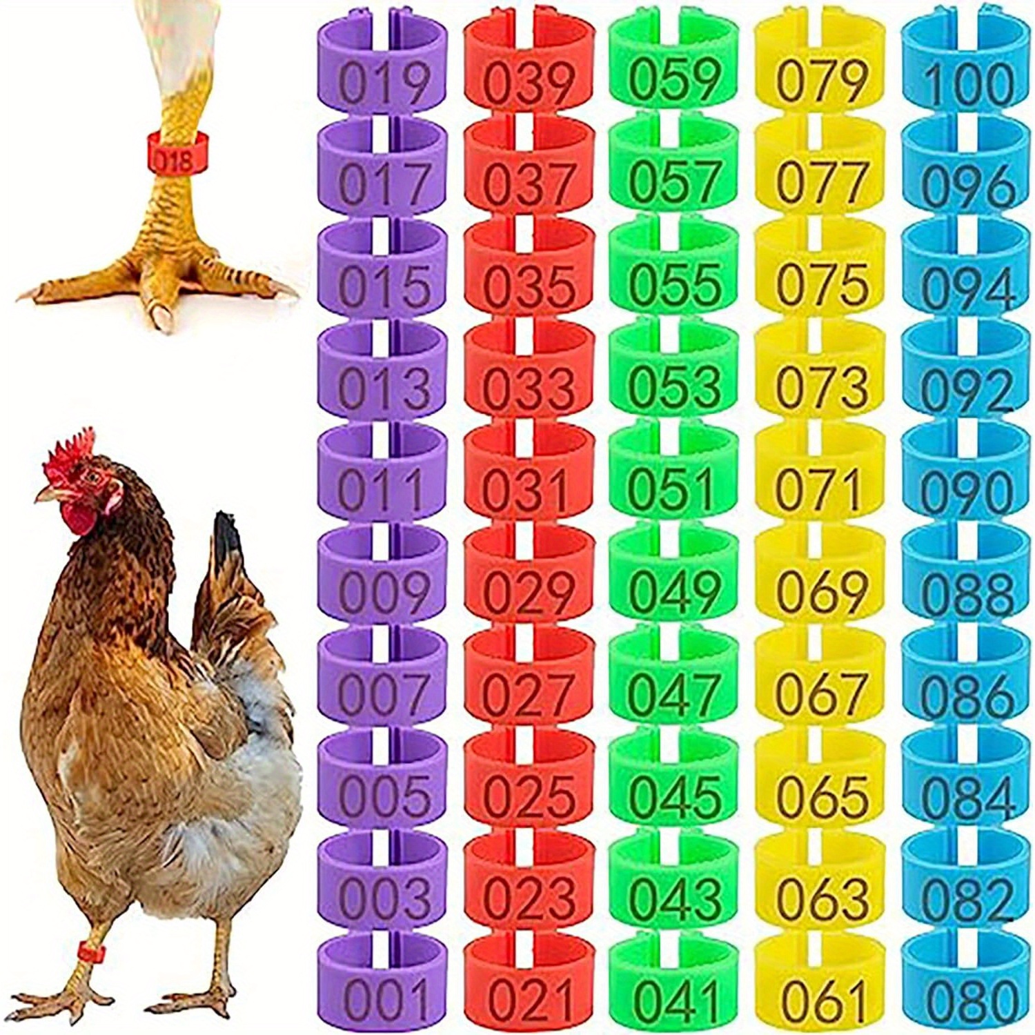 

100pcs Chicken Leg Bands, Colorful Numbered Chicken Tags For Legs, Poultry Leg Bands For Ducks, Chicks, Goose