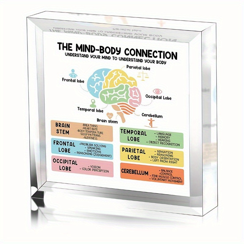 

Mind Body Connection Desktop Decor - Therapy Office Decor - Mental Health Desktop Decor - Psychology Decor Art Gift For Counselor Therapist Office School Living Bedroom
