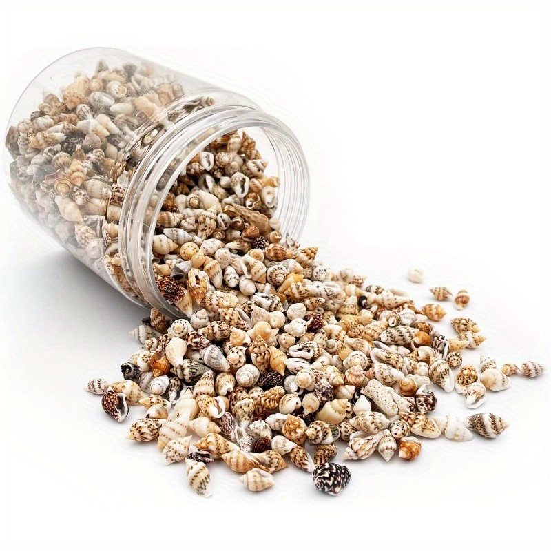 TEMU 2 Boxes Tiny Sea Shells, Mixed 3000 Pcs Ocean Small Beach Spiral Seashells Craft Charms For Home Decorations, Beach Theme Party, Candle Making, Wedding Decor, Diy Crafts, Fish And Vase Filler