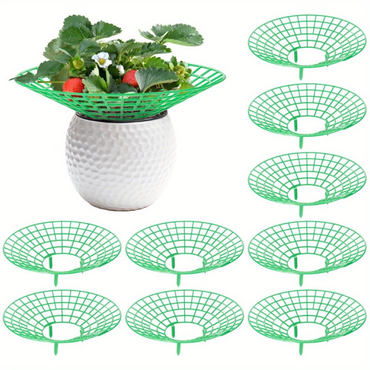 

Ensemble de 10 supports ronds en plastique pour fraises - Accessoires de soin des plantes fruitières de jardin, résistant à la corrosion, protège les fraises et les melons