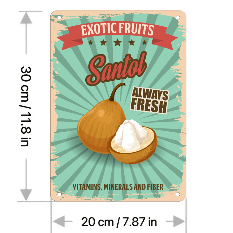 Vintage Metal Tin Sign With Exotic Fruits Santol Design - Retro Iron ...