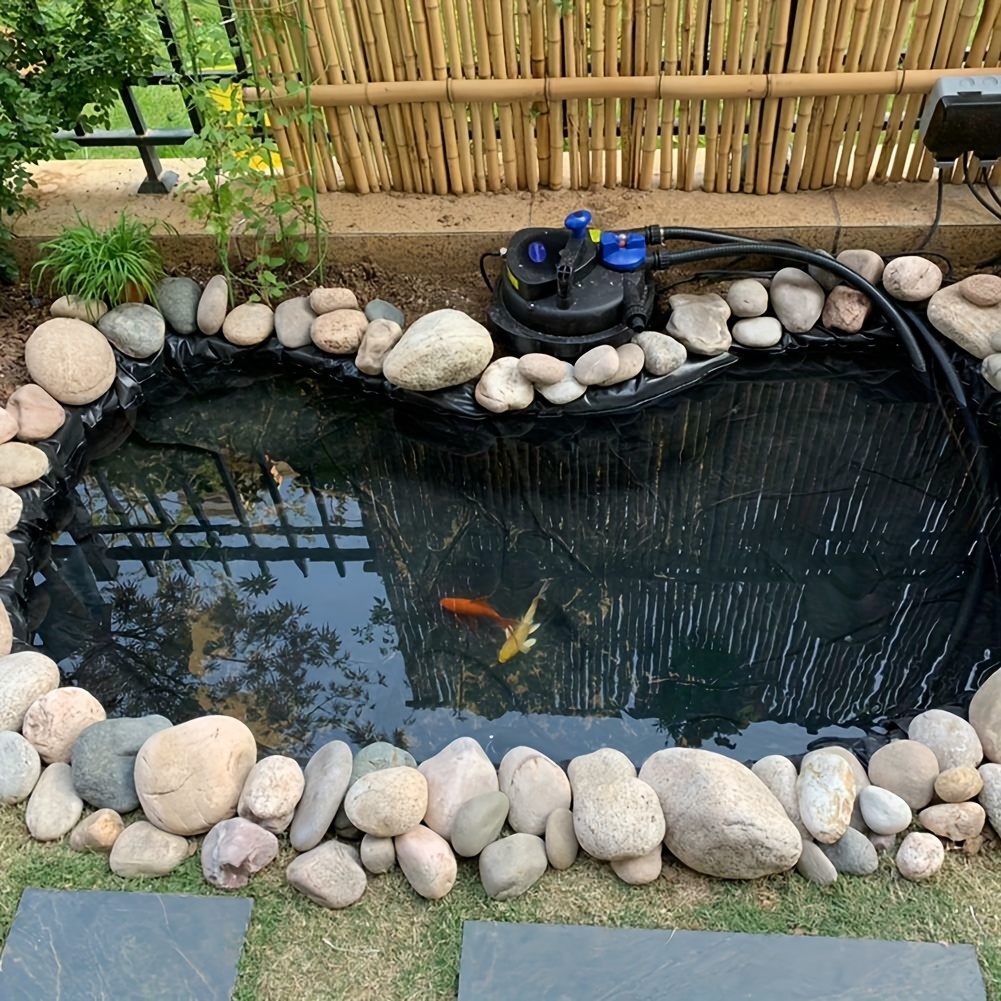 fish pond United Kingdom