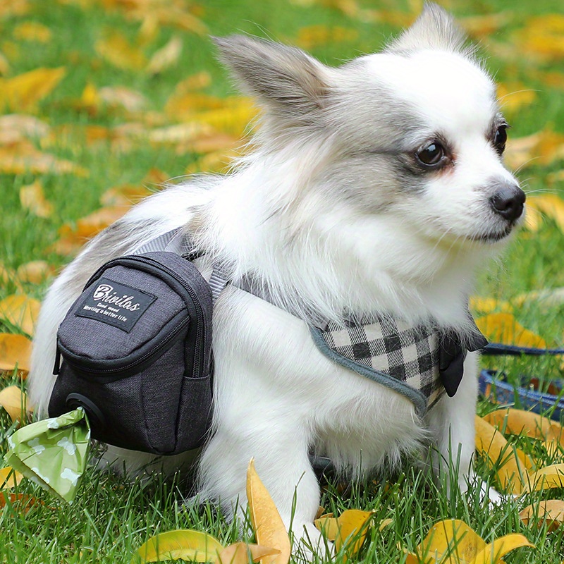 

Dog Walking : 1pc Pet Waste Bag Dispenser With Metal Zipper, Snack Pouch Holder For Small To Medium Dogs - Polyester