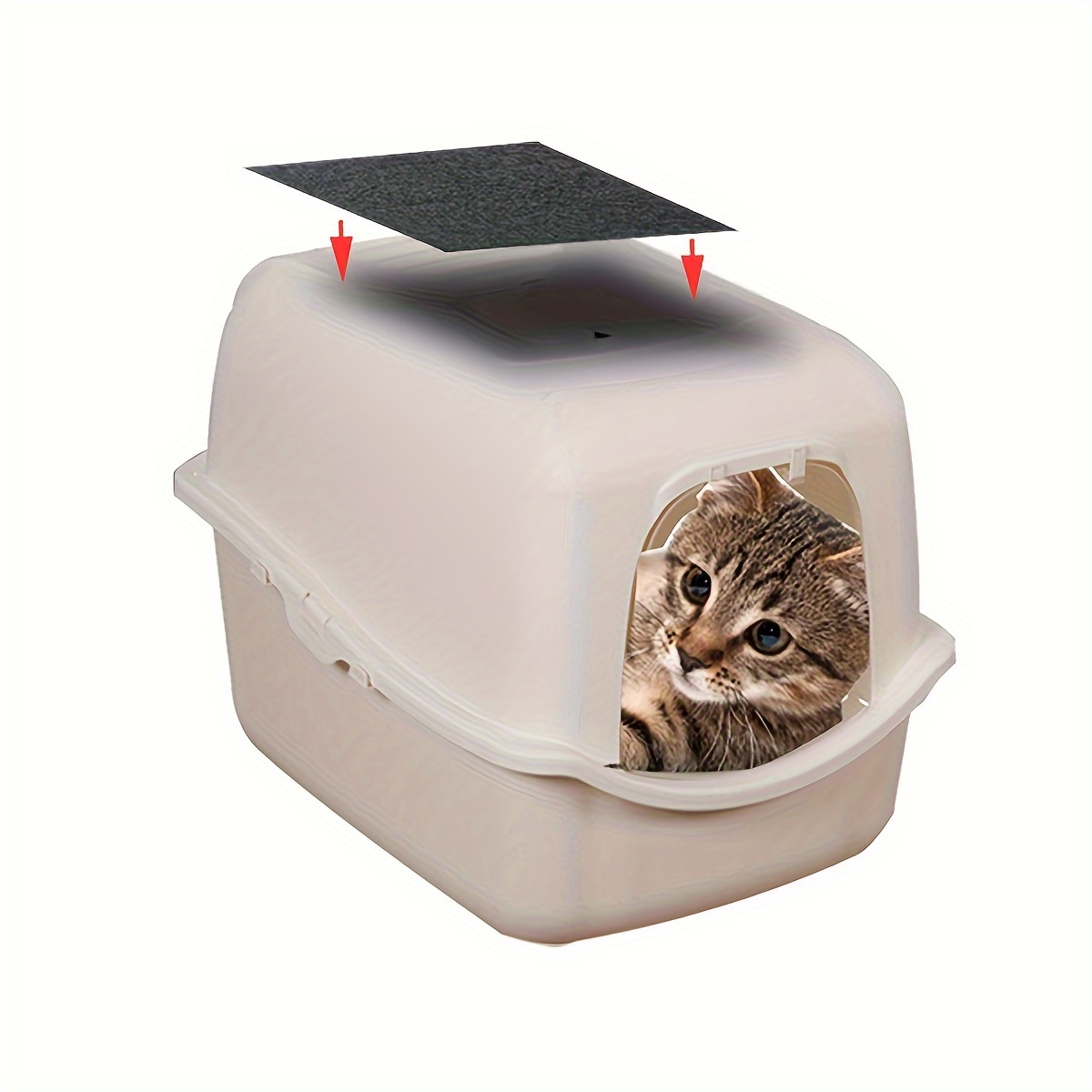 katzenstreu filter aktivkohle geruchsneutralisator 99% - Temu Luxembourg