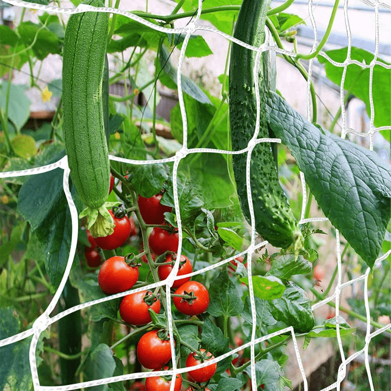 

1pc, 5x15ft Heavy-duty Nylon Trellis Netting, Mesh Size, Elastic & Tearproof, Wear-resistant Plant Support For Climbing Vines, Fruits & Vegetables, Ideal For Garden, Balcony & Outdoor Use