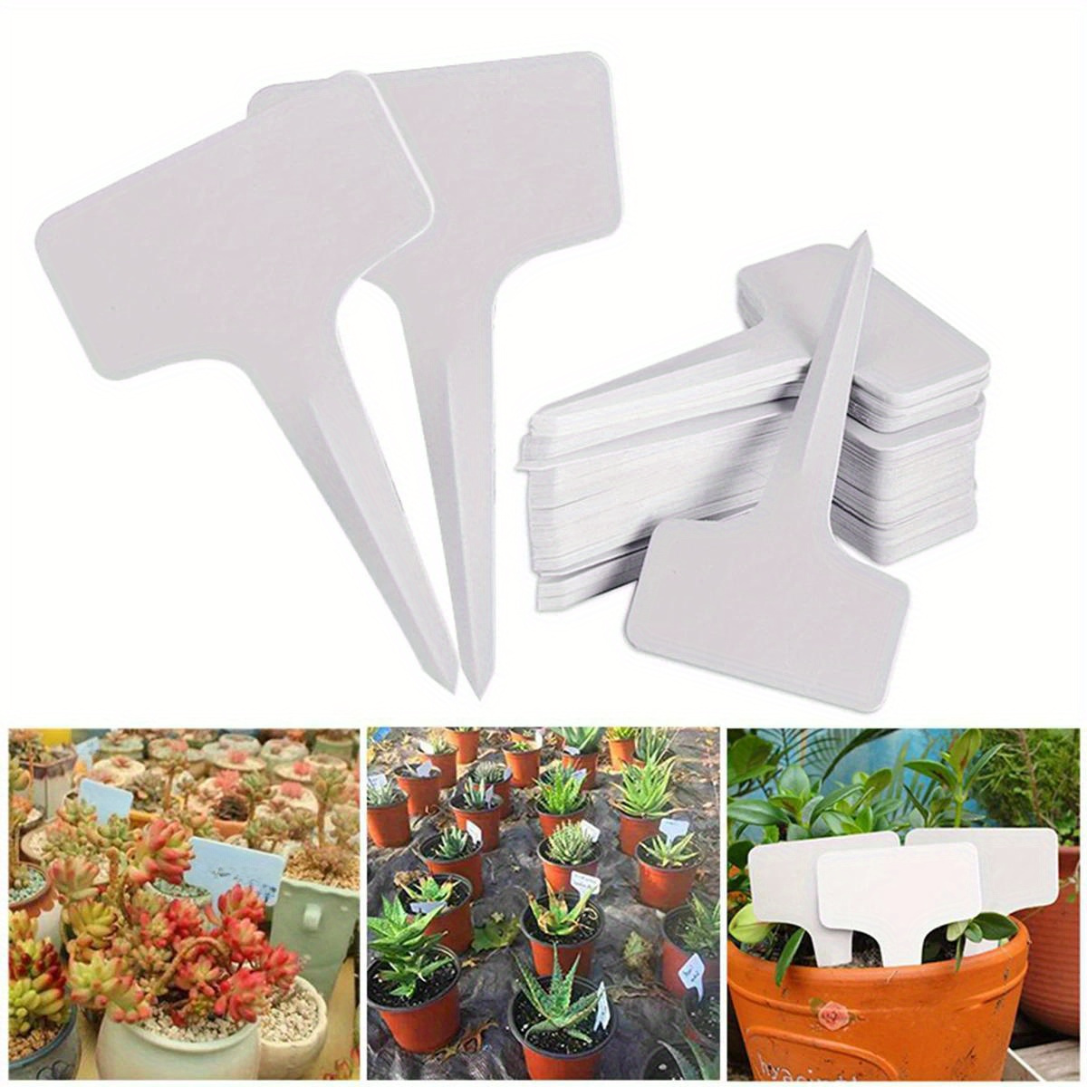 Mizijia Étiquettes pour plantes,150PCS Marqueurs en | FindTheDeal