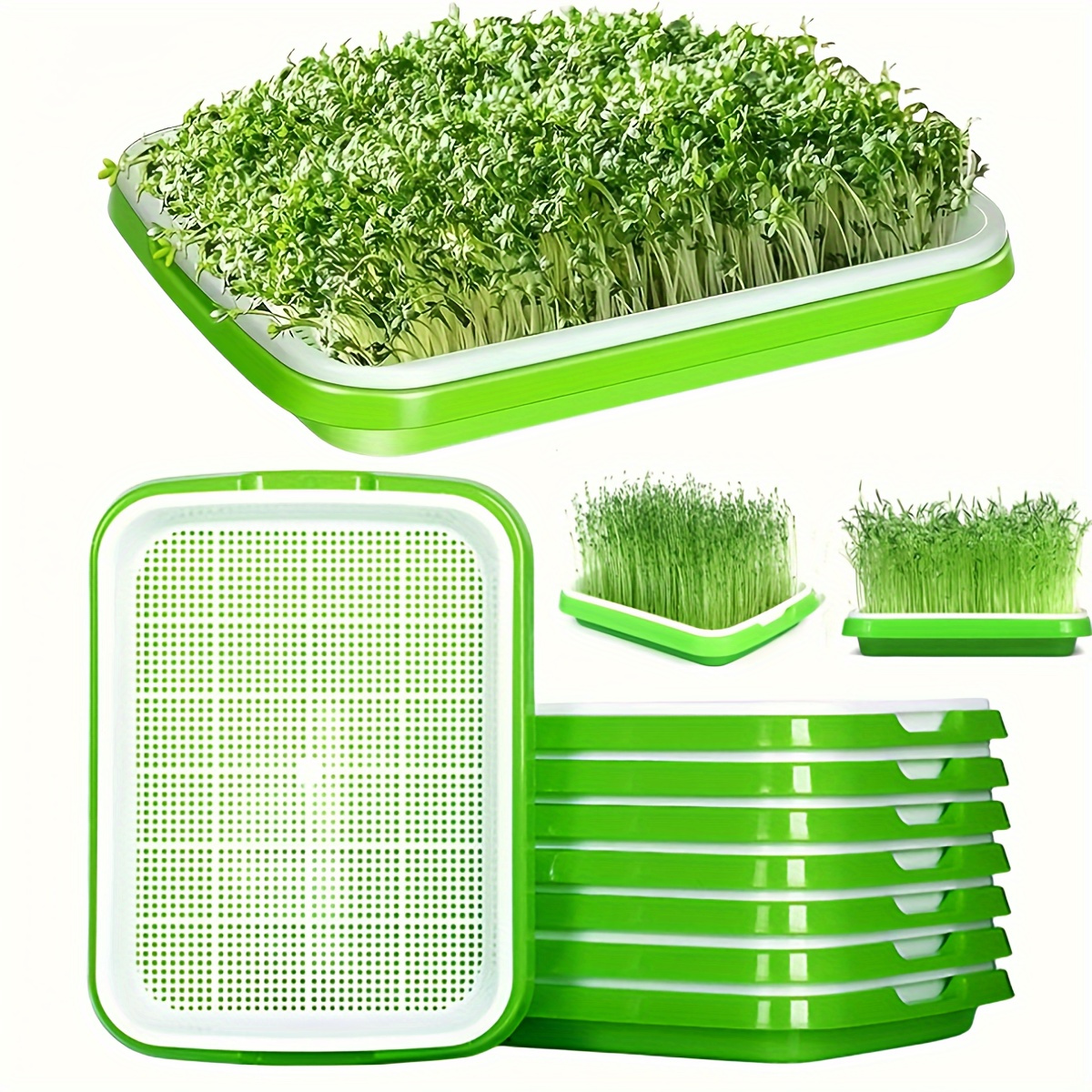 

Seed Sprouting Trays Set, 12.7" X 9.6", Contemporary Style, Suitable For Peas, Lentils, Beans, Wheat, Cat Grass (no Lid, No Seeds Included)