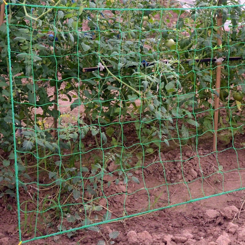 TEMU Durable 6.5x9.8ft Green Trellis Net For Growth - , Vines & Vegetables Like Tomatoes, , Grapes, Beans