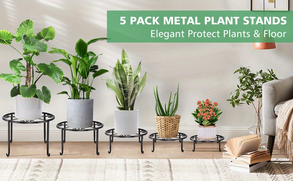 pots for succulents Prestige Succulent Planter | Lexington, KY