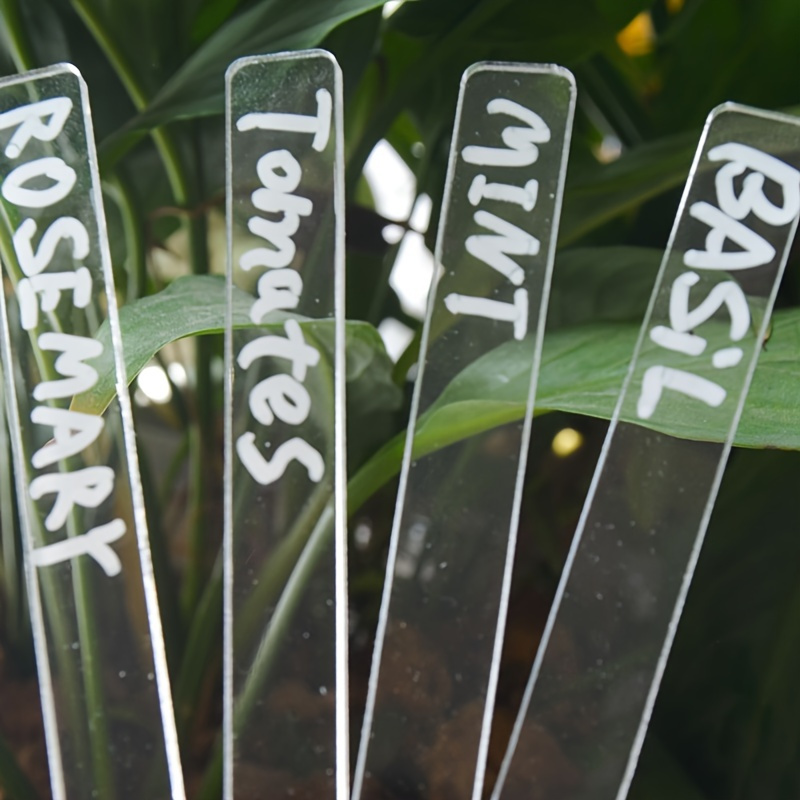 

13pcs/set 12pcs Diy Clear , , 1pc Pen