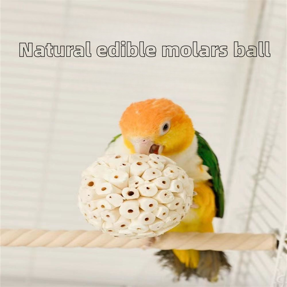 

Bird Chewing Toy Set Of 3, Natural Grass Chew Ball For Parakeets, Cockatiels, And Conures - Safe Edible Molar Toys, Brushed Artificial Grass Material For Beak Trimming And Stress