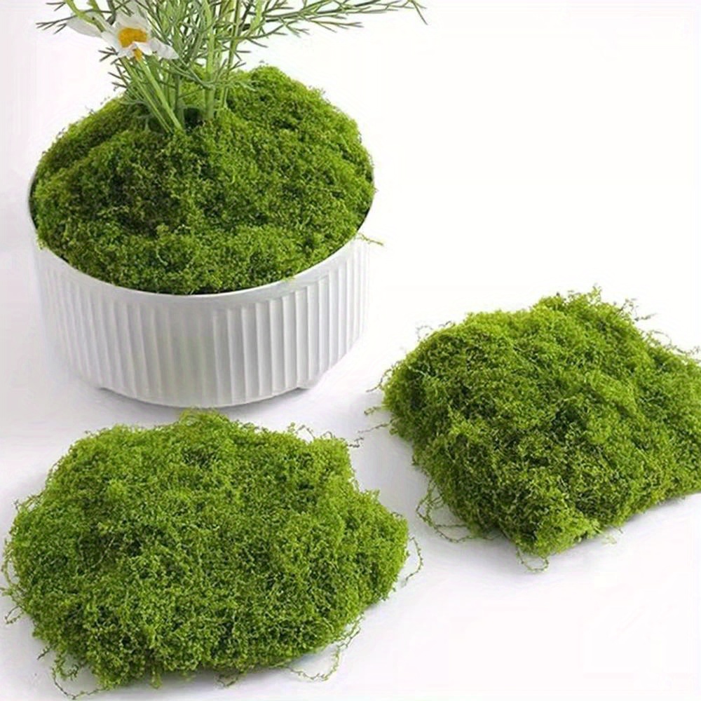 20gEternal Life Moss DIY Crafts Grass Artificial Green Plants Home Room Garden Decor Grass