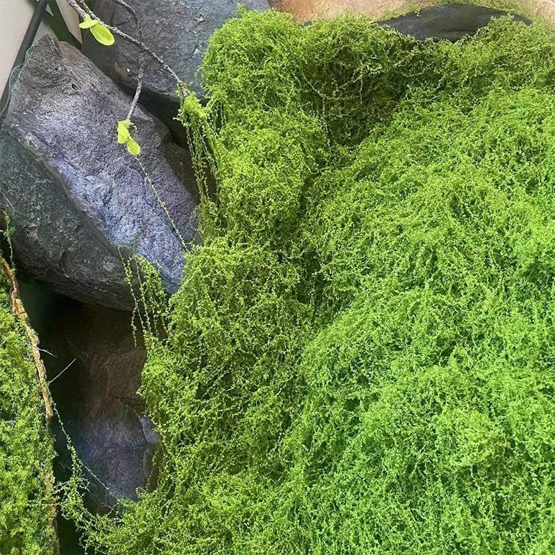 20gEternal Life Moss DIY Crafts Grass Artificial Green Plants Home Room Garden Decor Grass