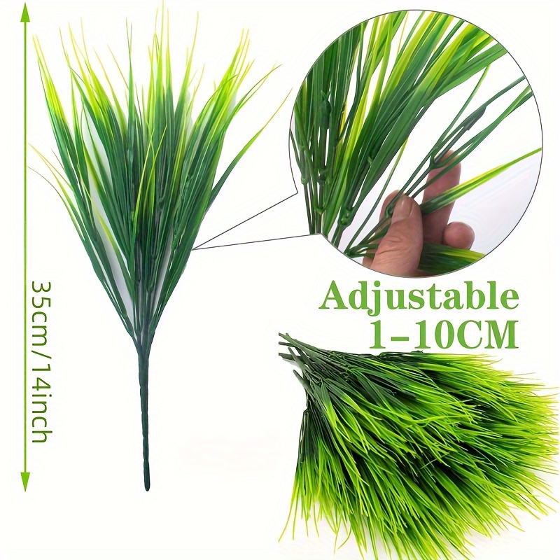 cordyline plants Hawaiian Ti Plant