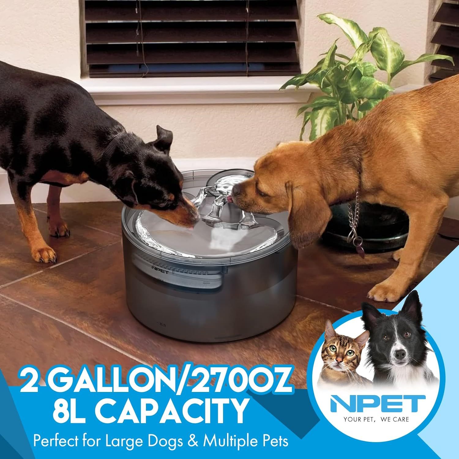 2 gallon df30 dog water fountain large automatic dog - Temu