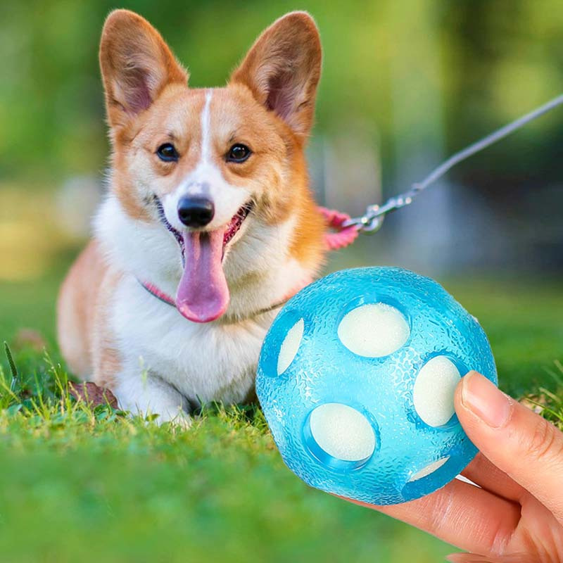 犬用 追いかけっこボール 1個 オー 犬用おもちゃボール 追いかけっこ水遊び犬用おもちゃボール