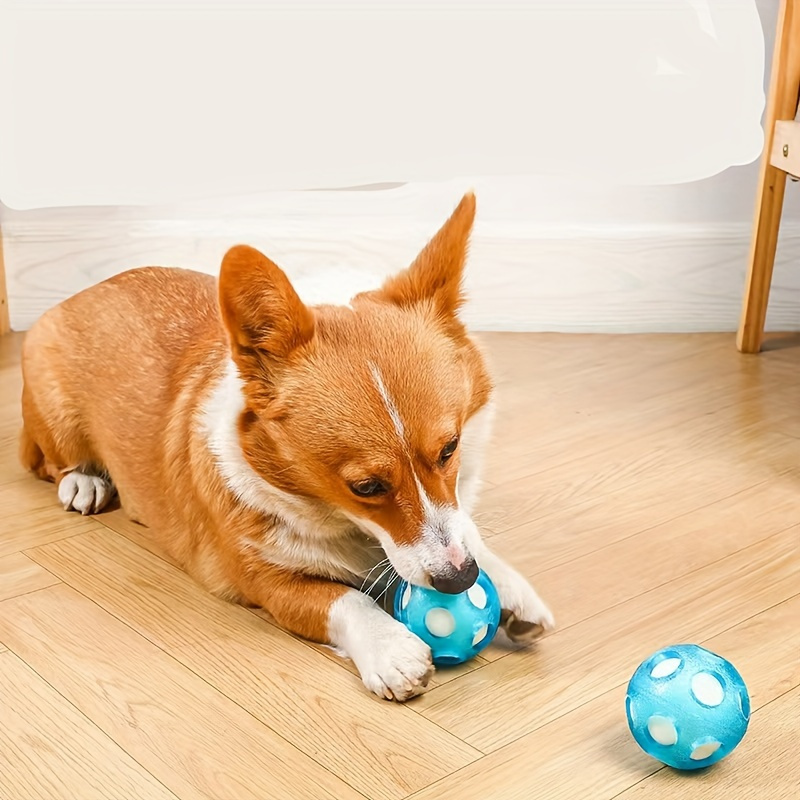 犬用 追いかけっこボール 1個 オー 犬用おもちゃボール 追いかけっこ水遊び犬用おもちゃボール