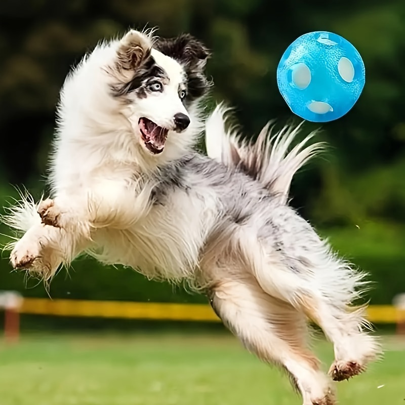1個 オー 犬用おもちゃボール 追いかけっこ水遊び犬用おもちゃボール