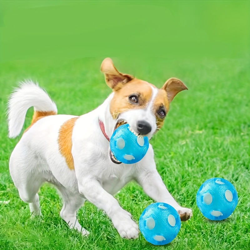 1個 オー 犬用おもちゃボール 追いかけっこ水遊び犬用おもちゃボール
