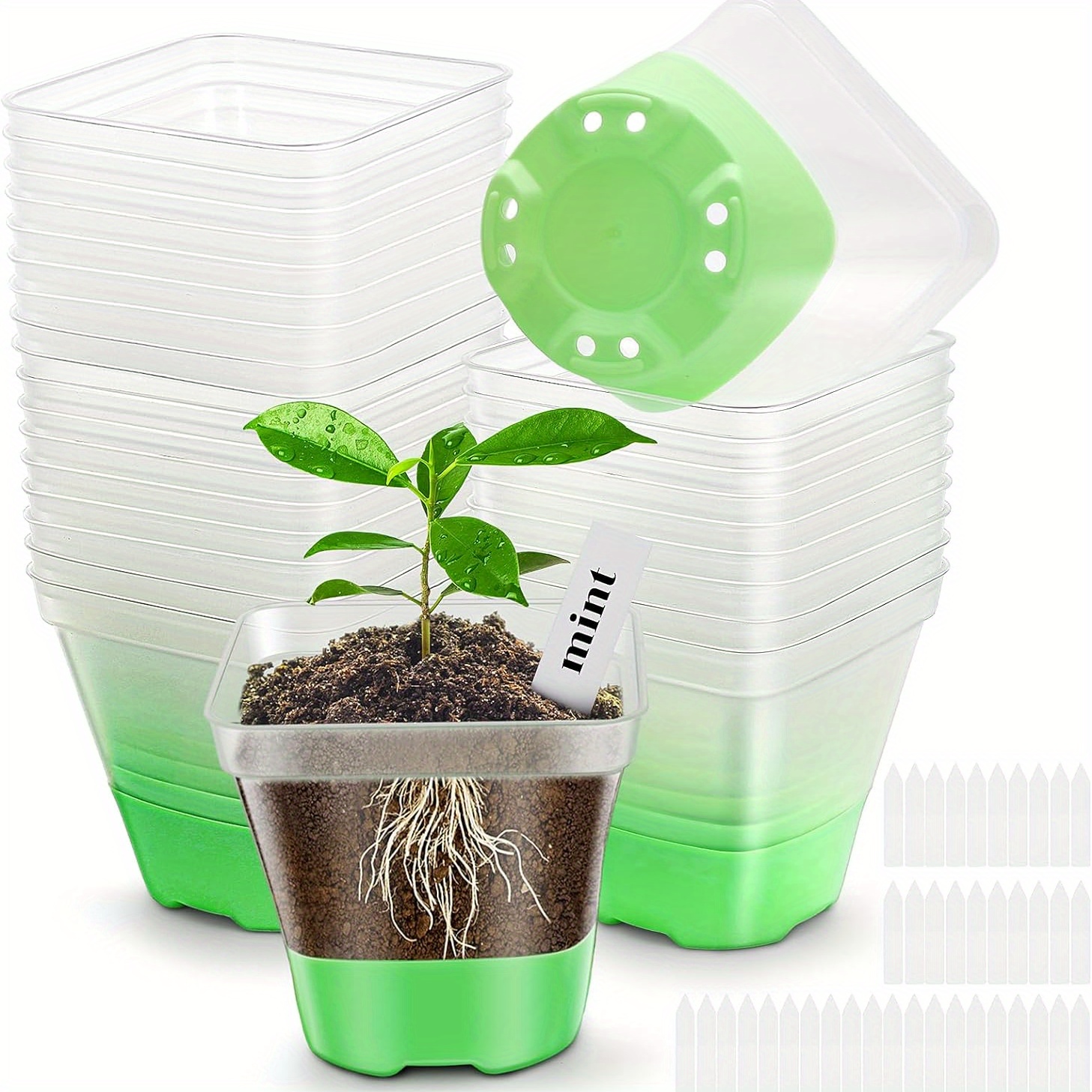 

Clear For Plants Lid, 30 Packs Seed Starting 3.1 Plastic Pot Seedling Drainage Seed Starting Pot 30 Labels