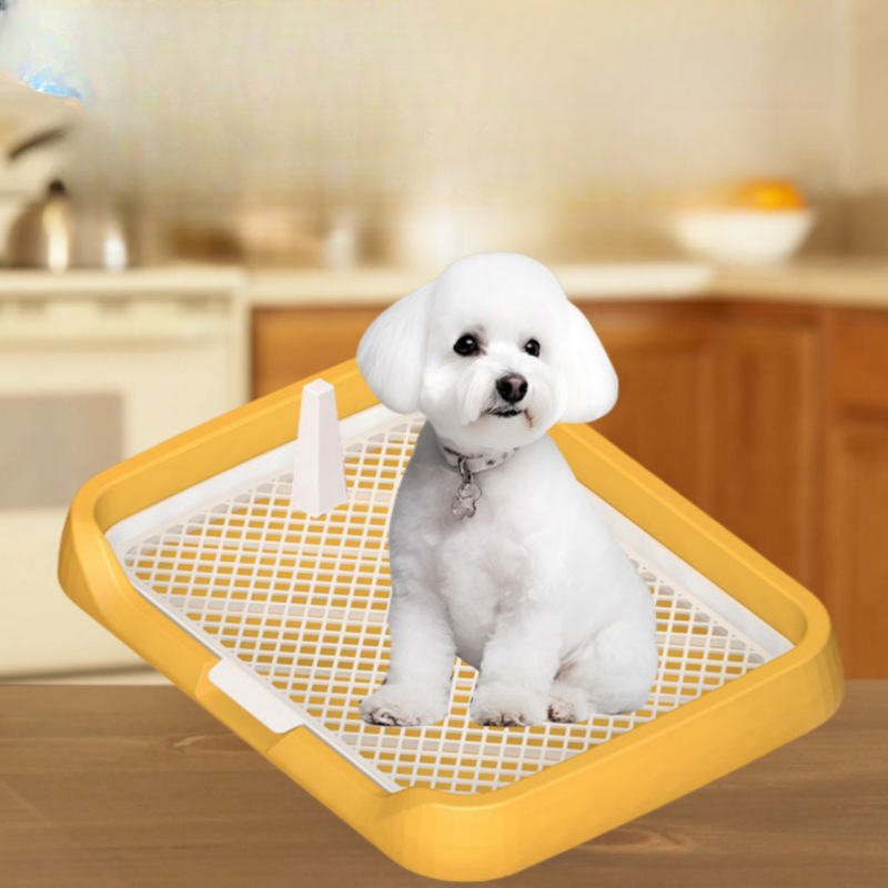 Dog toilet box best sale