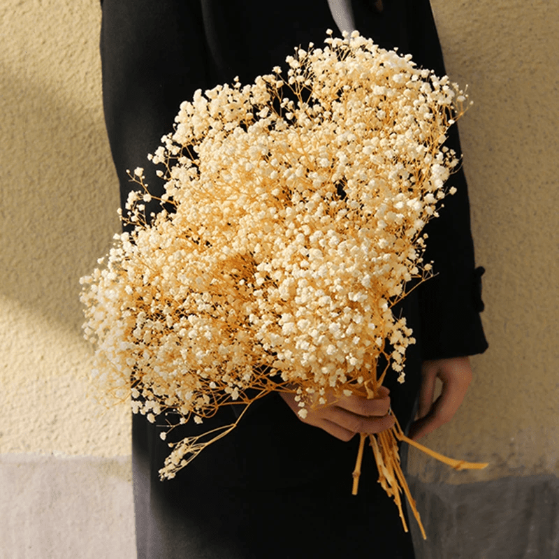 

2000 Head Natural Dried Gypsophila Beige Bouquet For Wedding, Valentine's Day, Home And Table Decor - 75g Bundle, Preserved At Full Bloom, No Water Needed, Long-lasting Elegance