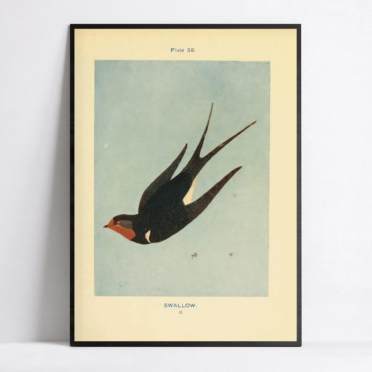 vintage swallow art deco poster modern retro bird canvas - Temu
