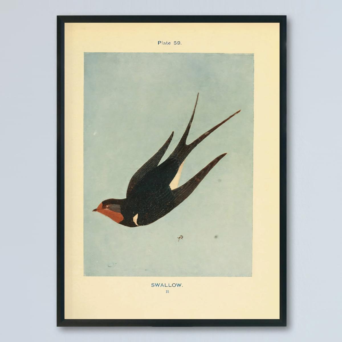 vintage swallow art deco poster modern retro bird canvas - Temu