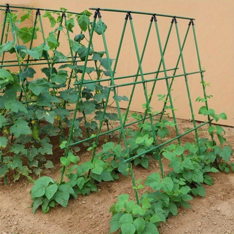 

Sturdy Metal Garden Trellis Set For Climbing Plants - , Beans & Tomatoes - Plant Support Frame