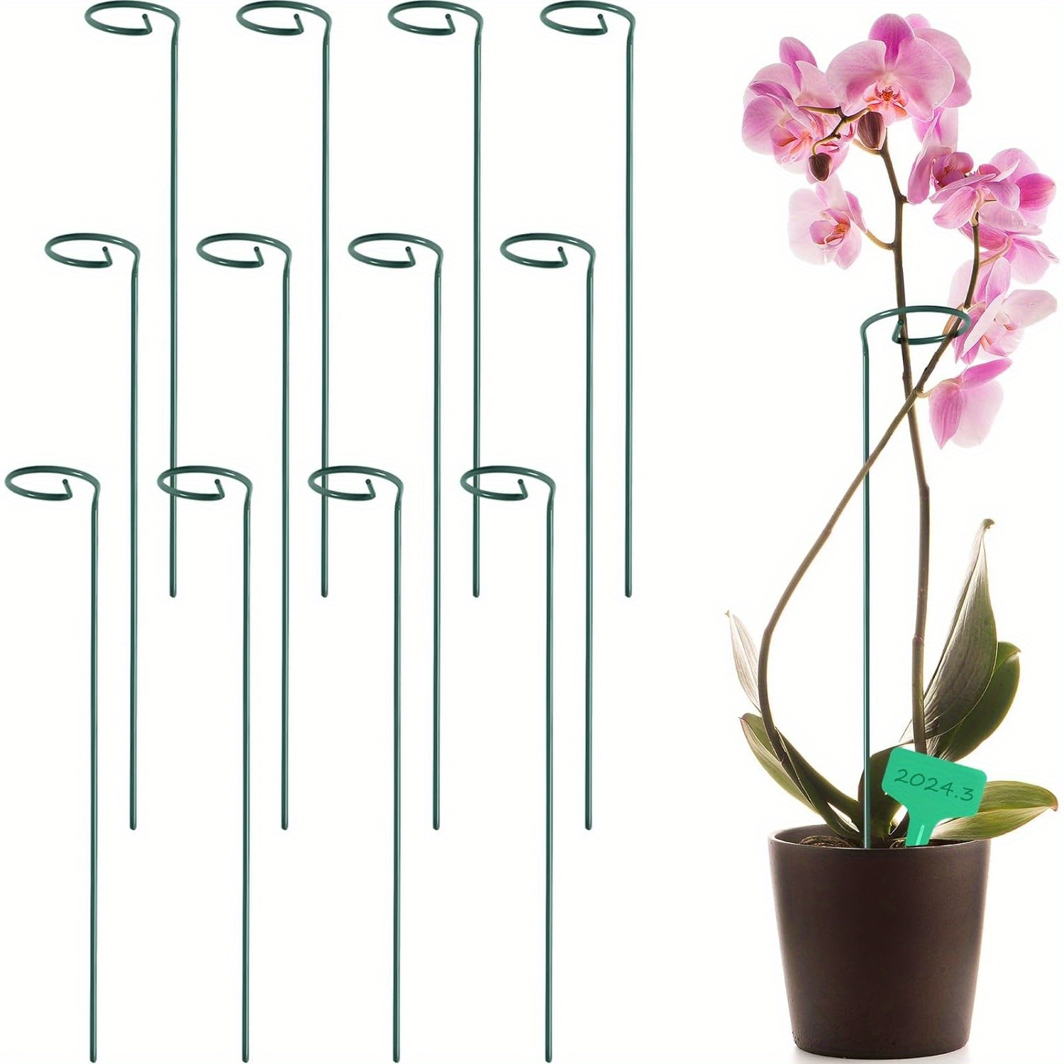 

16 Inches Garden Flower Support Plant Support Stakes, With 15 Pcs Plant Labels, Single Plant Stem Flower Support For Flowers, Orchid, Peony, Lily, Rose