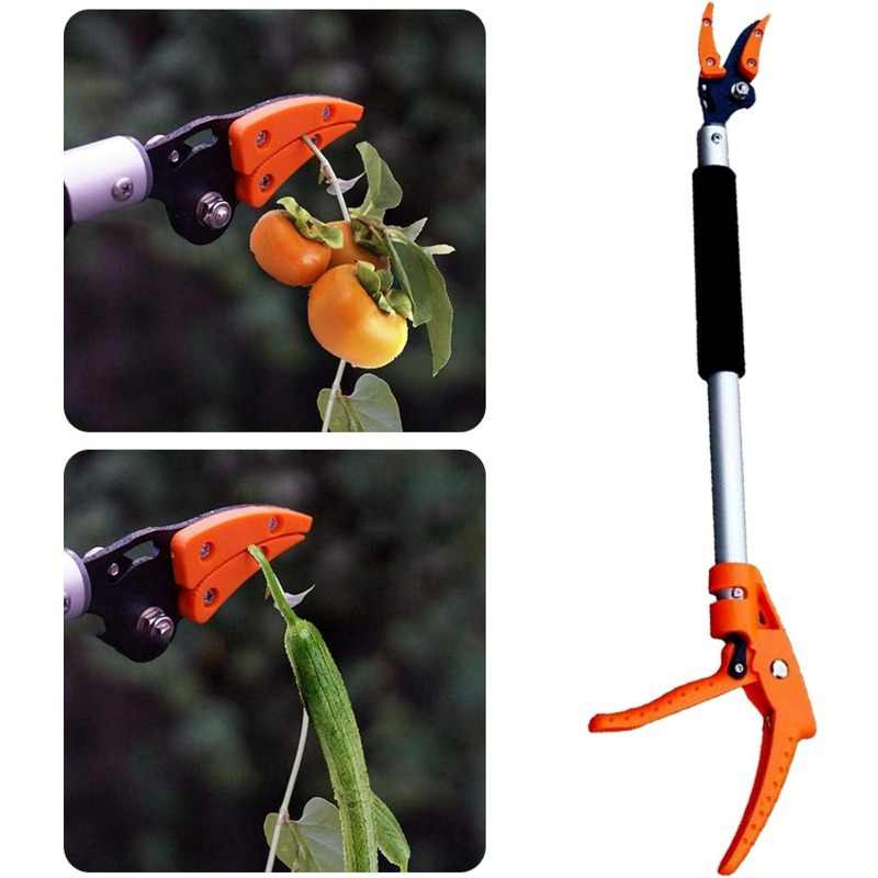 

Fruit Picker, Fruit Picker, Fruit Picker, Persimmon, , Loofah, Cucumber, , Grape, Peach, Fruit Picker, Long Scissors