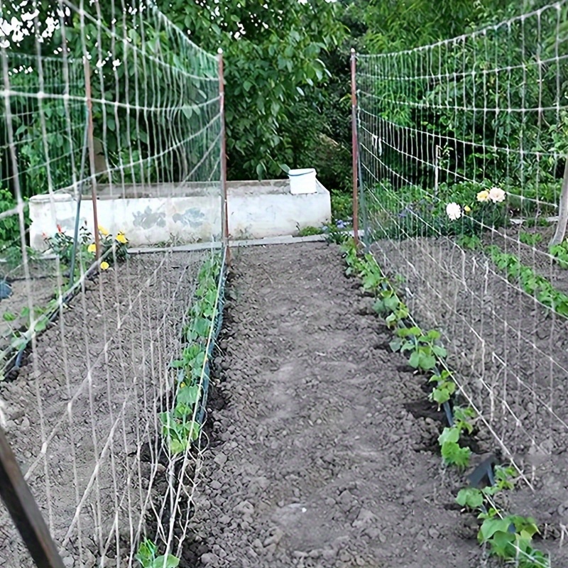 

Filet de Soutien pour Plantes Grimpantes Blanc de 5x15ft Facile à Installer - Treillis et Polyvalent pour la Croissance et du Jardin