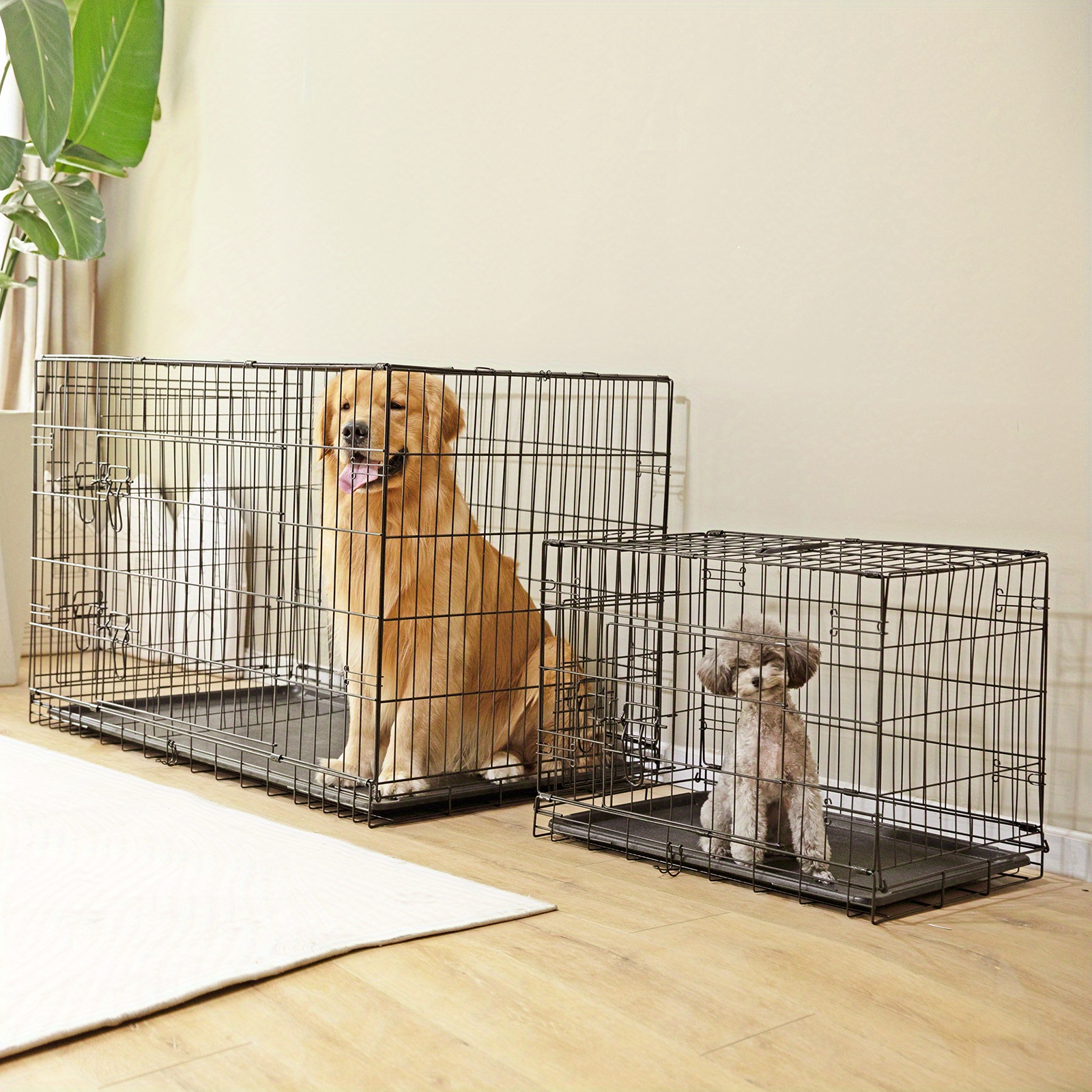 Folding Metal Dog Door Dog Crate With Divider MidWest ICrate