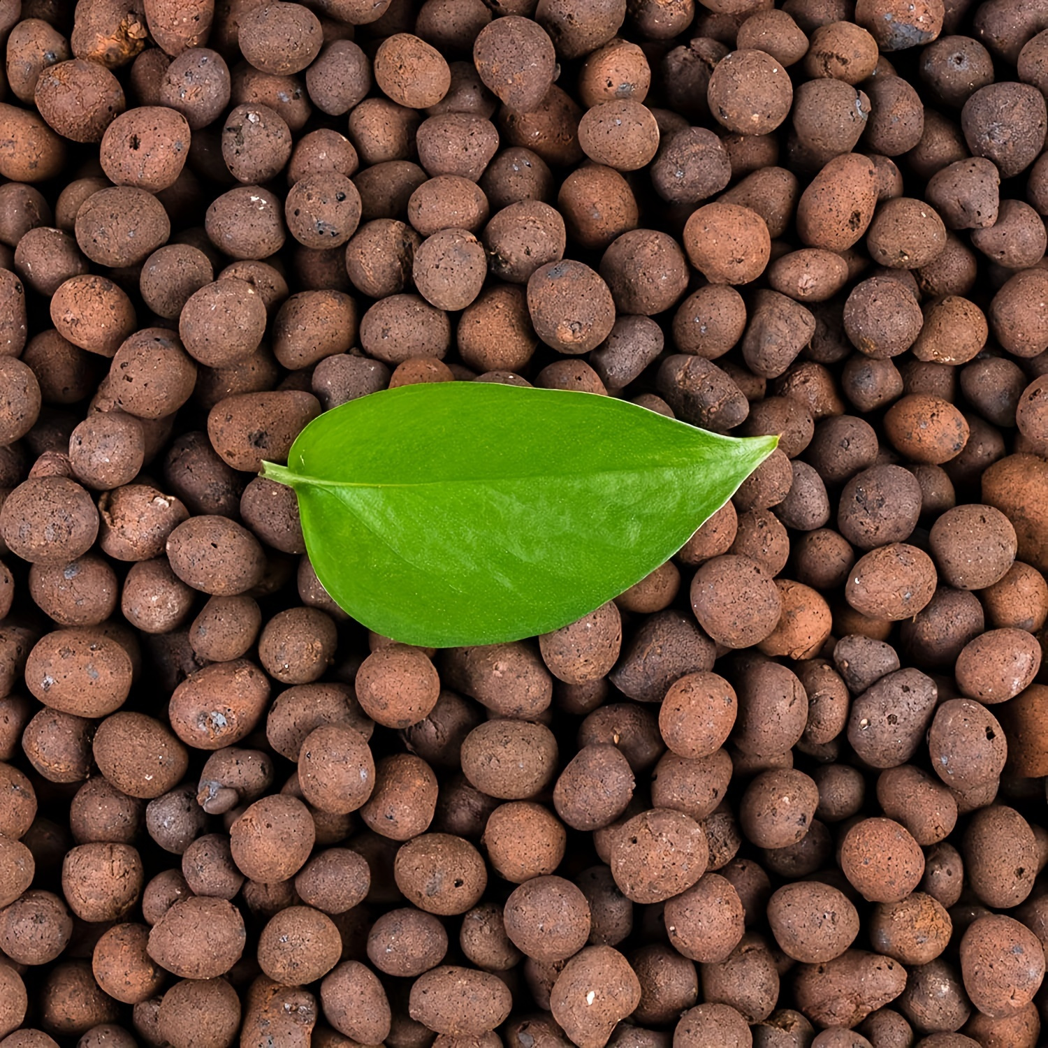 1 2 4 8lbs garden hydroponic expanded clay pebbles 4mm 16mm - Temu Morocco