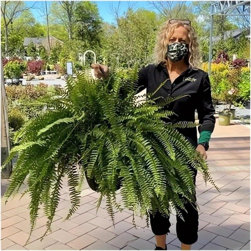 

3pcs-realistic Artificial Boston Ferns - 2024 New Artificial Boston Ferns Outdoor Large Realistic Fake Fern Hanging Decor Fern Stems Indoor Basket Plant Urn Filler Front Porch