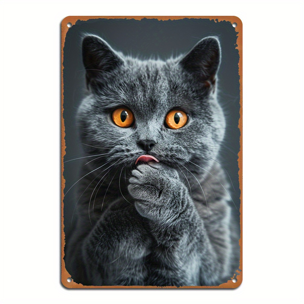 

Cute Grey British Shorthair Cat Retro Tin Sign: Multipurpose Home & Bar Decor (8x12inch/20*30cm)