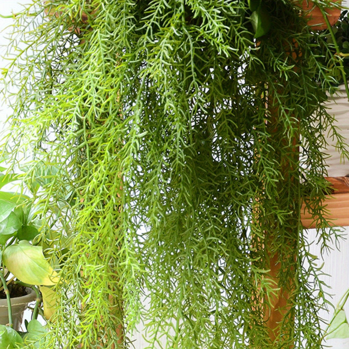 

2pcs Artificial Greenery Ferns Hanging Vines Fake Hanging Vine Pine Needle Hanging Plastic Plant For Indoor Outdoor Decor