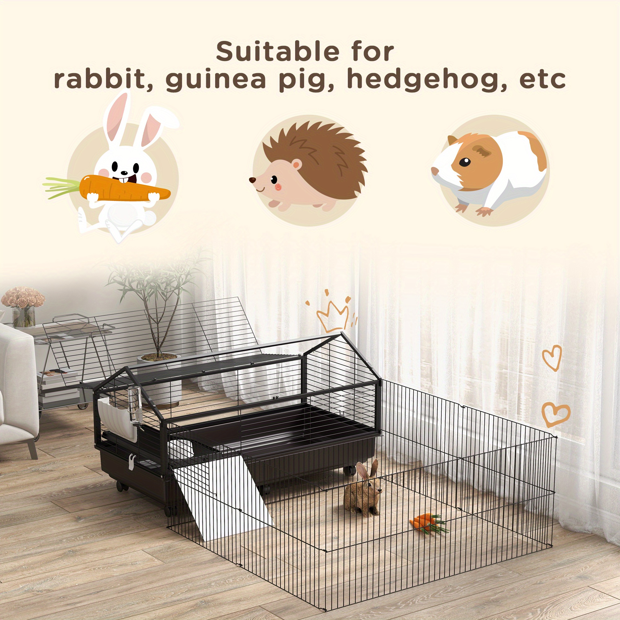 hedgehog supplies near me