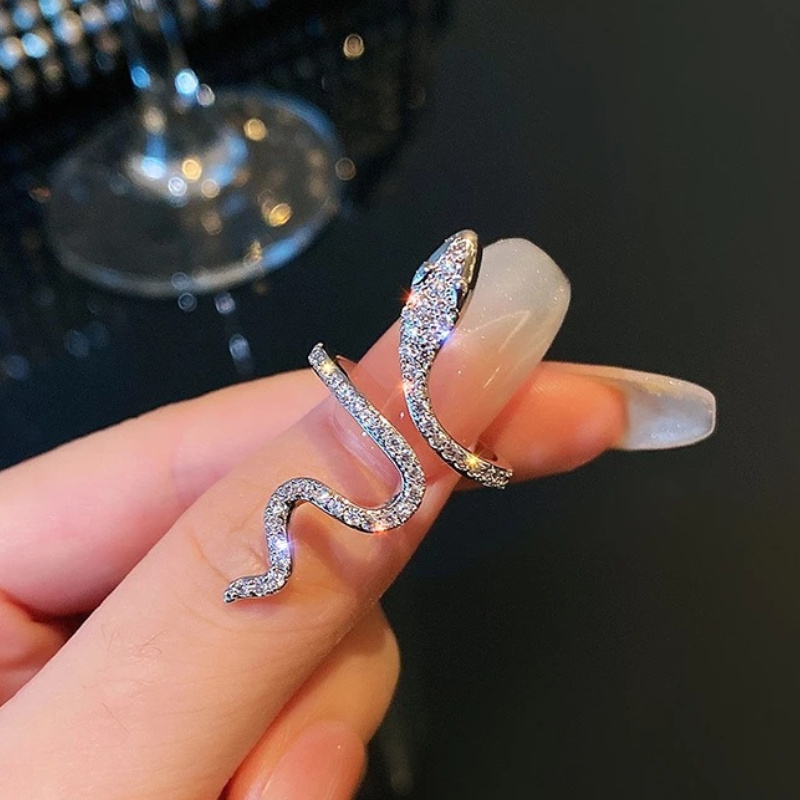 アクセサリー old joe snake ring #9 OLD JOE / LUCIAN (SNAKE RING) | GANKO