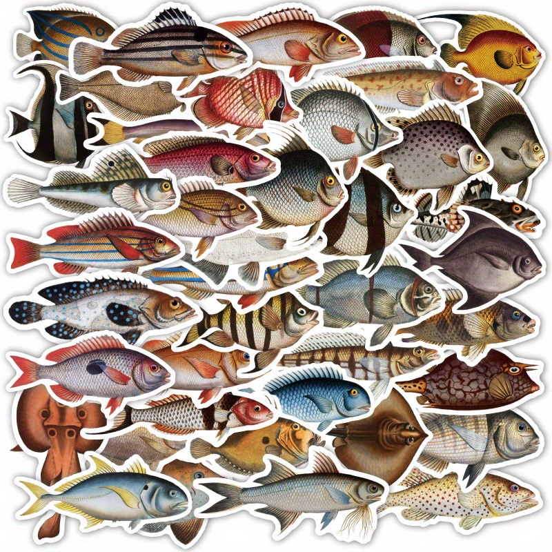 

50 Pcs Pvc , Assorted And Tackle Decals For , Sea Adhesive Labels