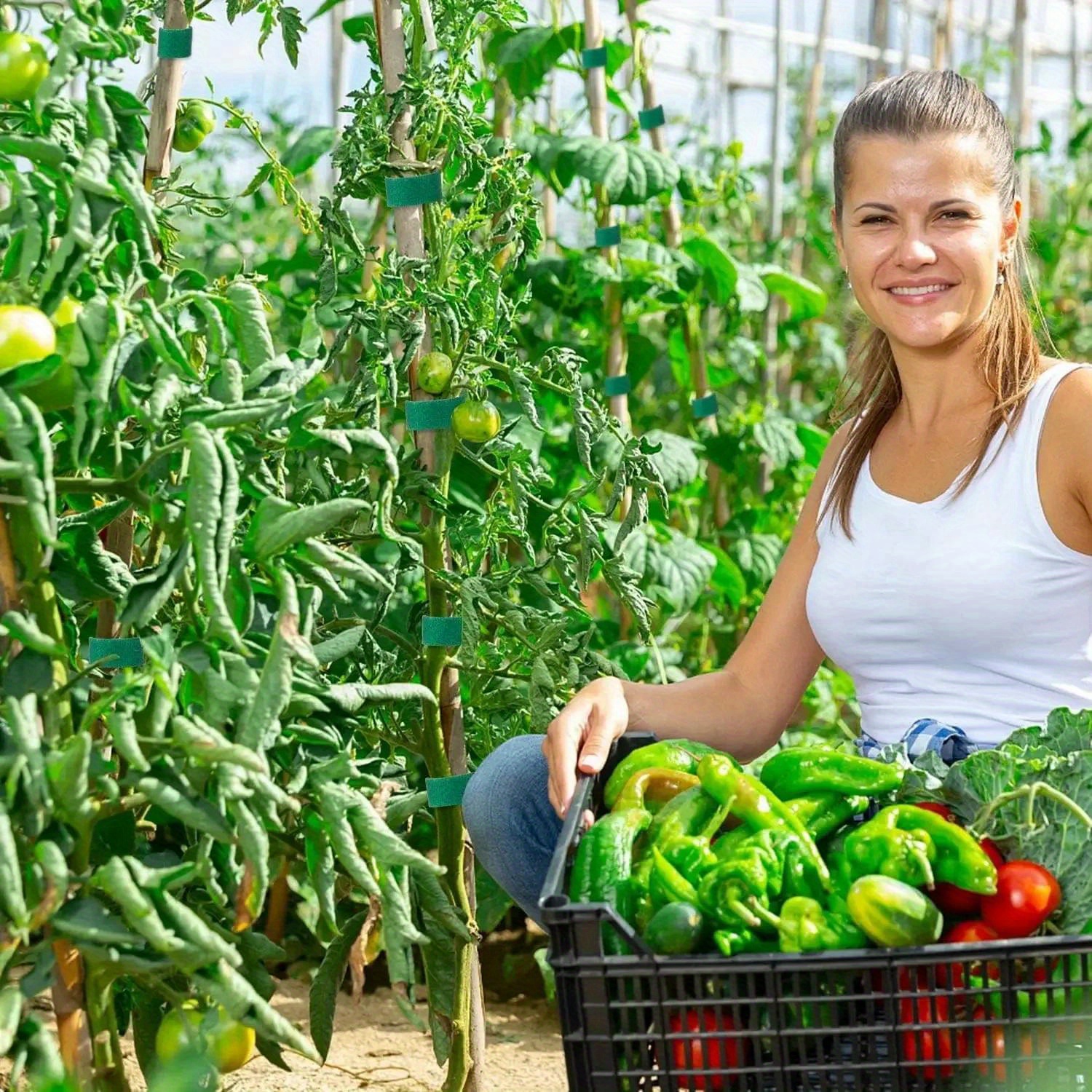 5 Meters/Roll Reusable Nylon Plant Tie - Green Garden Plant Bandage Cable Tie - Self-adhesive Plant Fastening Tape - Suitable for Plants, Gardens, Home - High-Quality, Durable and Easy to Use