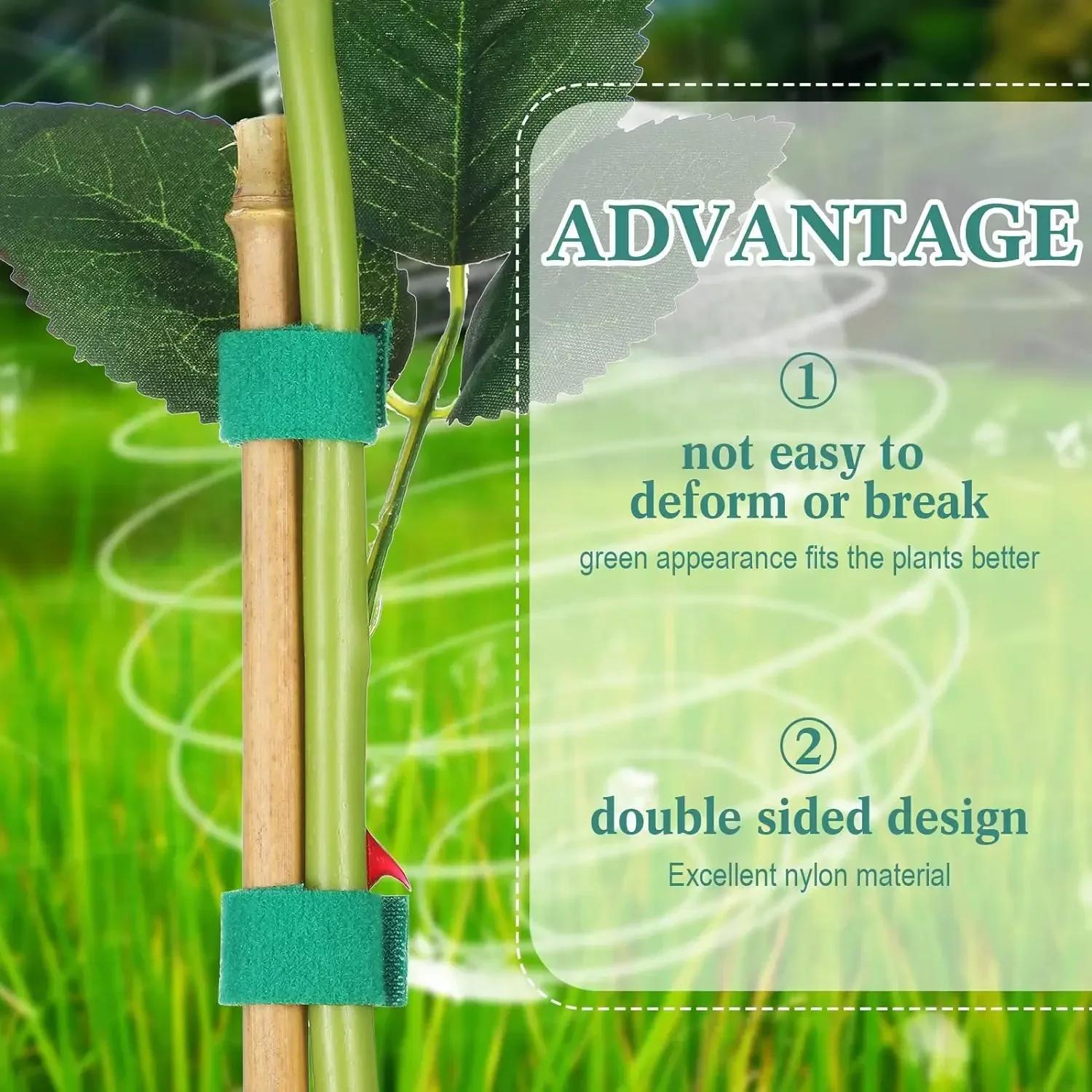 5 Meters/Roll Reusable Nylon Plant Tie - Green Garden Plant Bandage Cable Tie - Self-adhesive Plant Fastening Tape - Suitable for Plants, Gardens, Home - High-Quality, Durable and Easy to Use