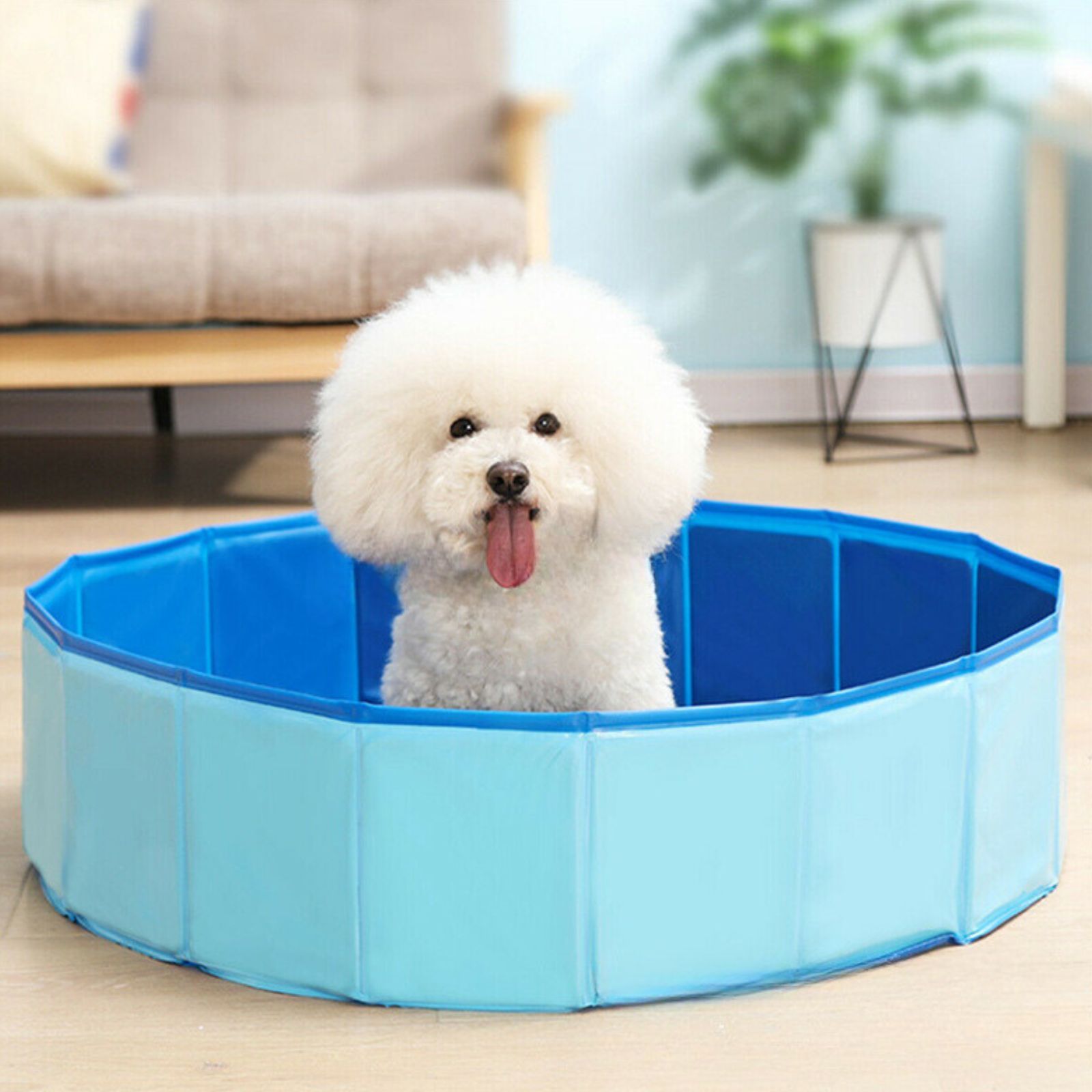 Vasca Pieghevole Per Cani - Antiscivolo, Portatile, Per Bagni Interni/esterni, Grandi E Piccoli - Foto 10