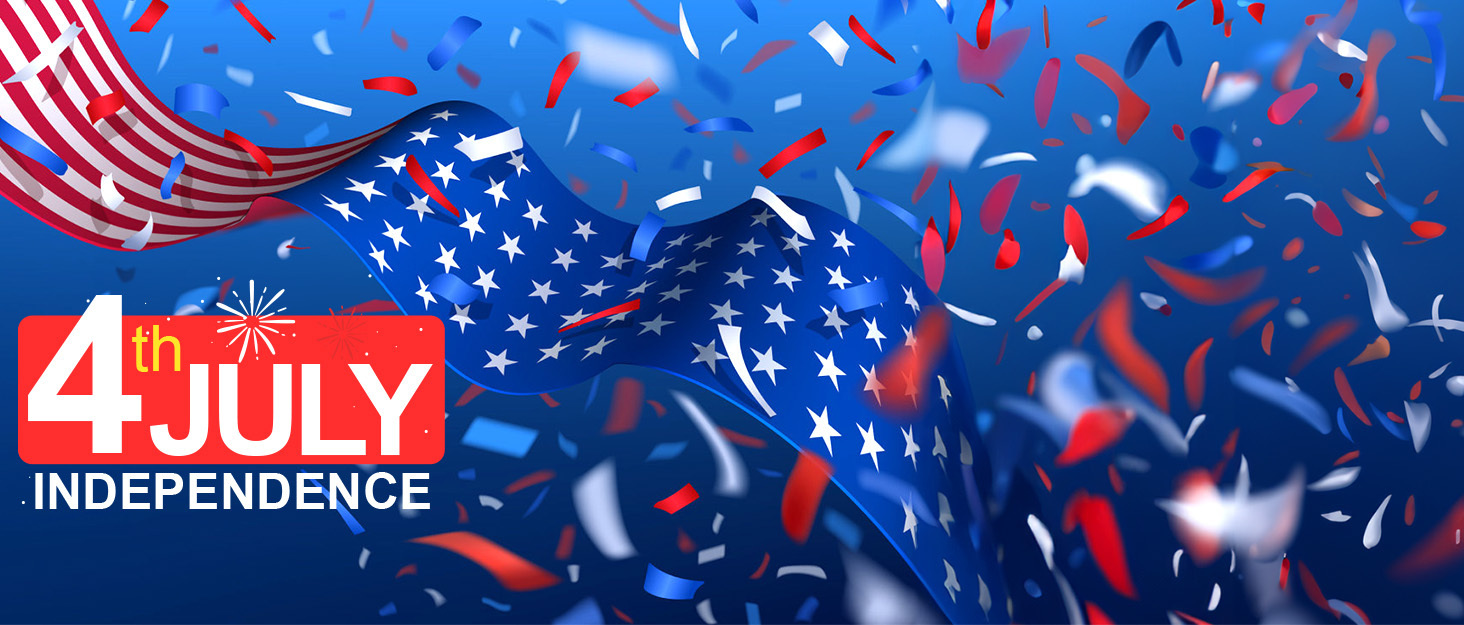 multi surface natural steam cleaner with 12 accessories portable power for home Product details 14